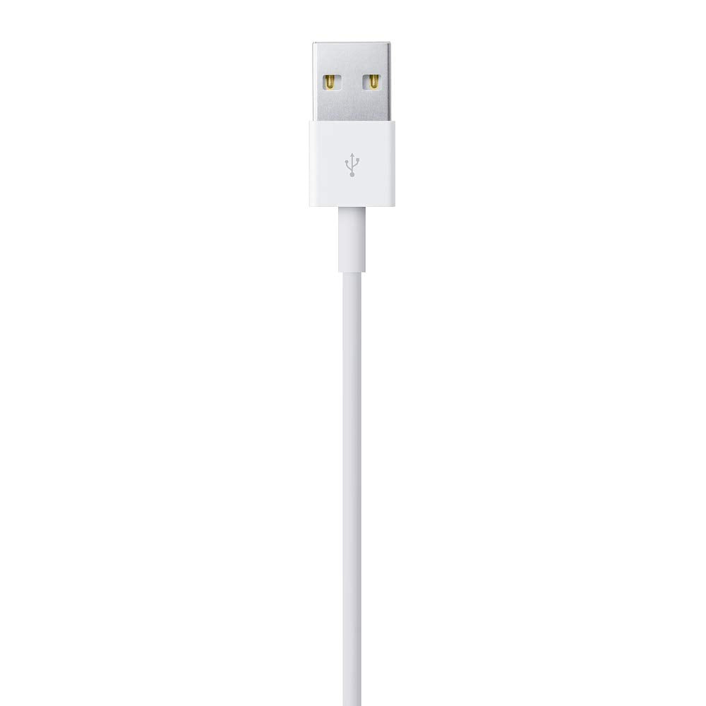 Apple Lightning auf USB Kabel (1 m)