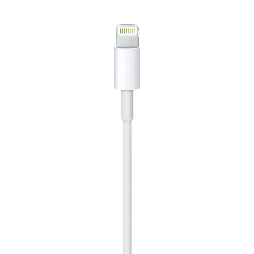 Apple Lightning auf USB Kabel (1 m)