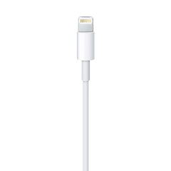 Apple Lightning auf USB Kabel (1 m)