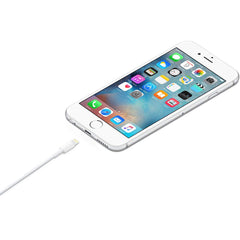 Apple Lightning auf USB Kabel (1 m)