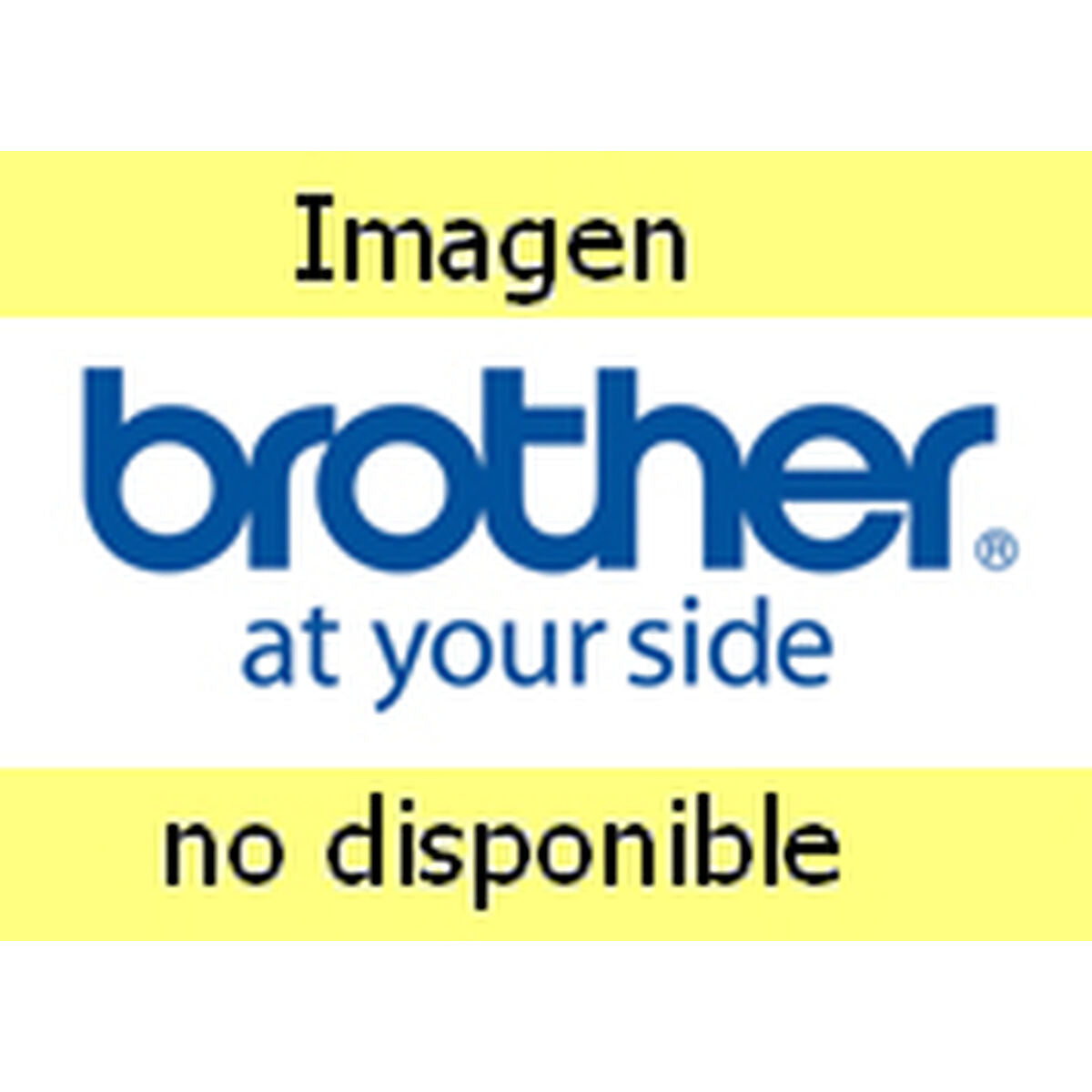 Brother Thermopapierrolle Brother Ldp4F000108058Es