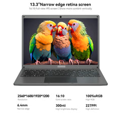 (Clearance) 13,3 Zoll billige Laptop mit Intel CPU 2,5 k fhd ips 2,5 k fhd Display Notebook Adreamer Laptop zum Verkauf